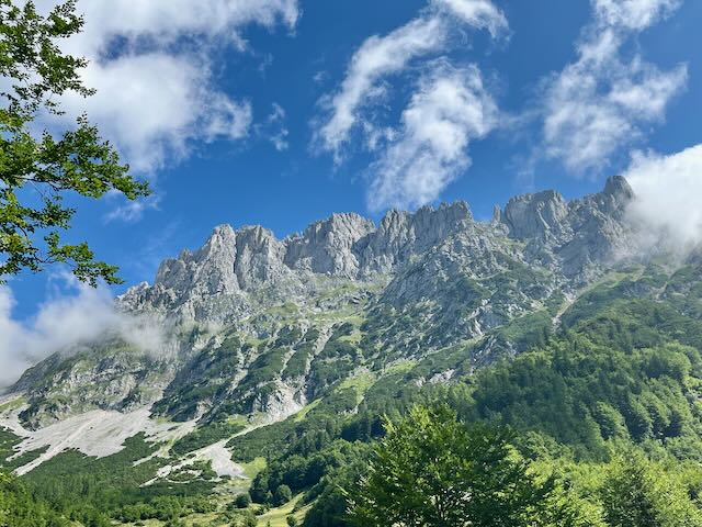 Blick auf den Wilden Kaiser