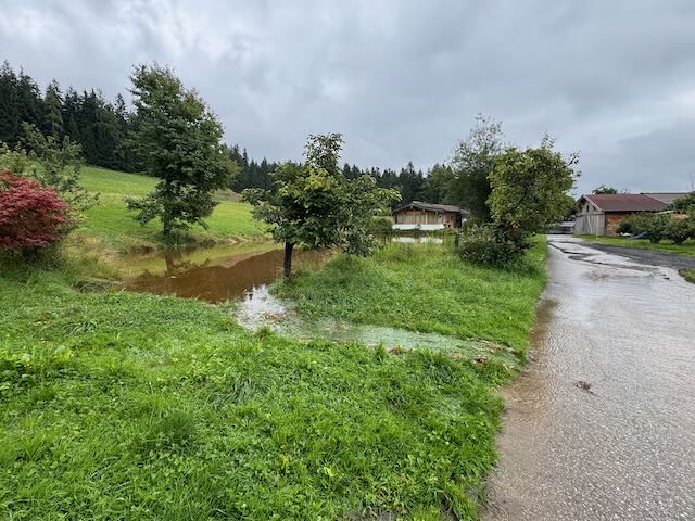 Viele Regen