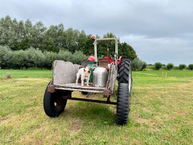 Lou auf Traktor