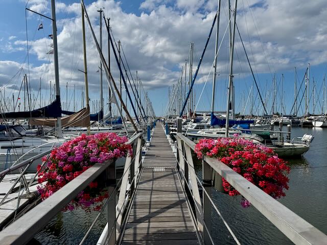 Steg mit Blumen