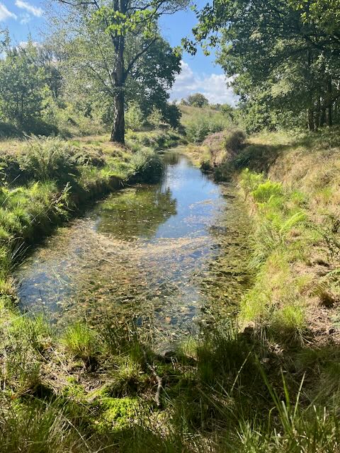 River near Oosterbeek