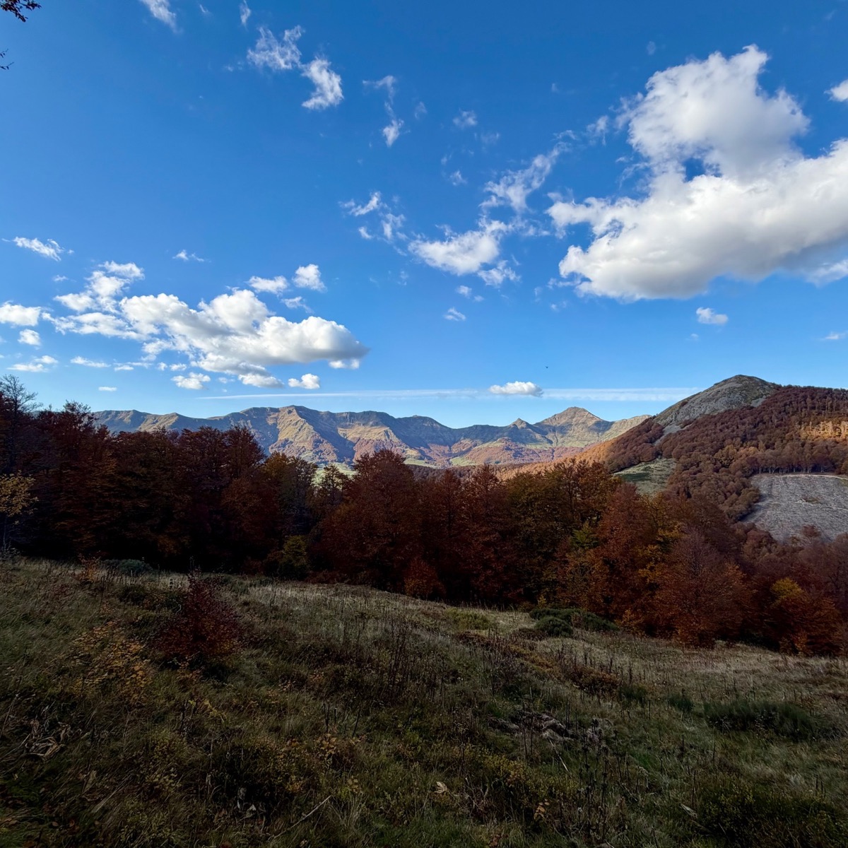 Unterwegs auf dem Berg in der Auvergne