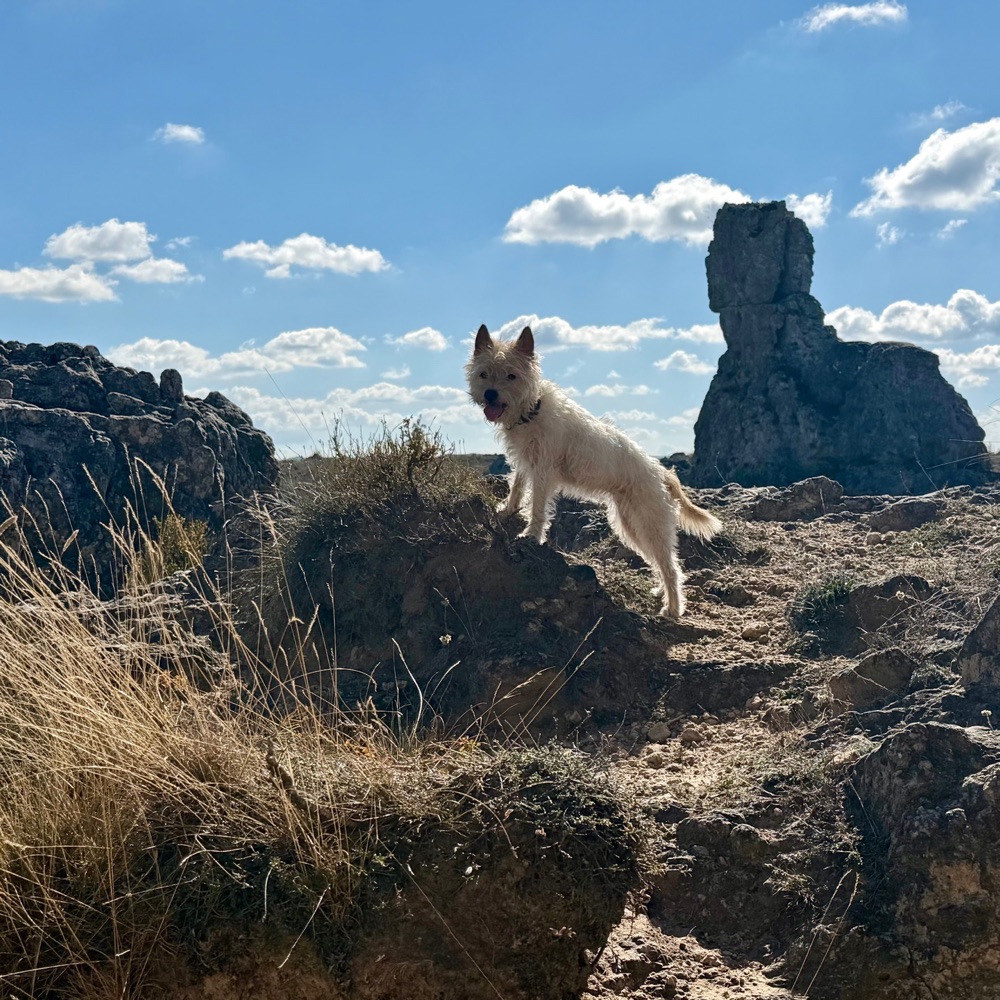 Lou steht auf Felsen auf dem Plateau, dahinter eine Felsnadel