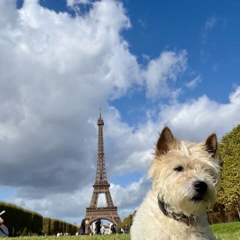 Lou im Gras, dahinter der Eiffelturm