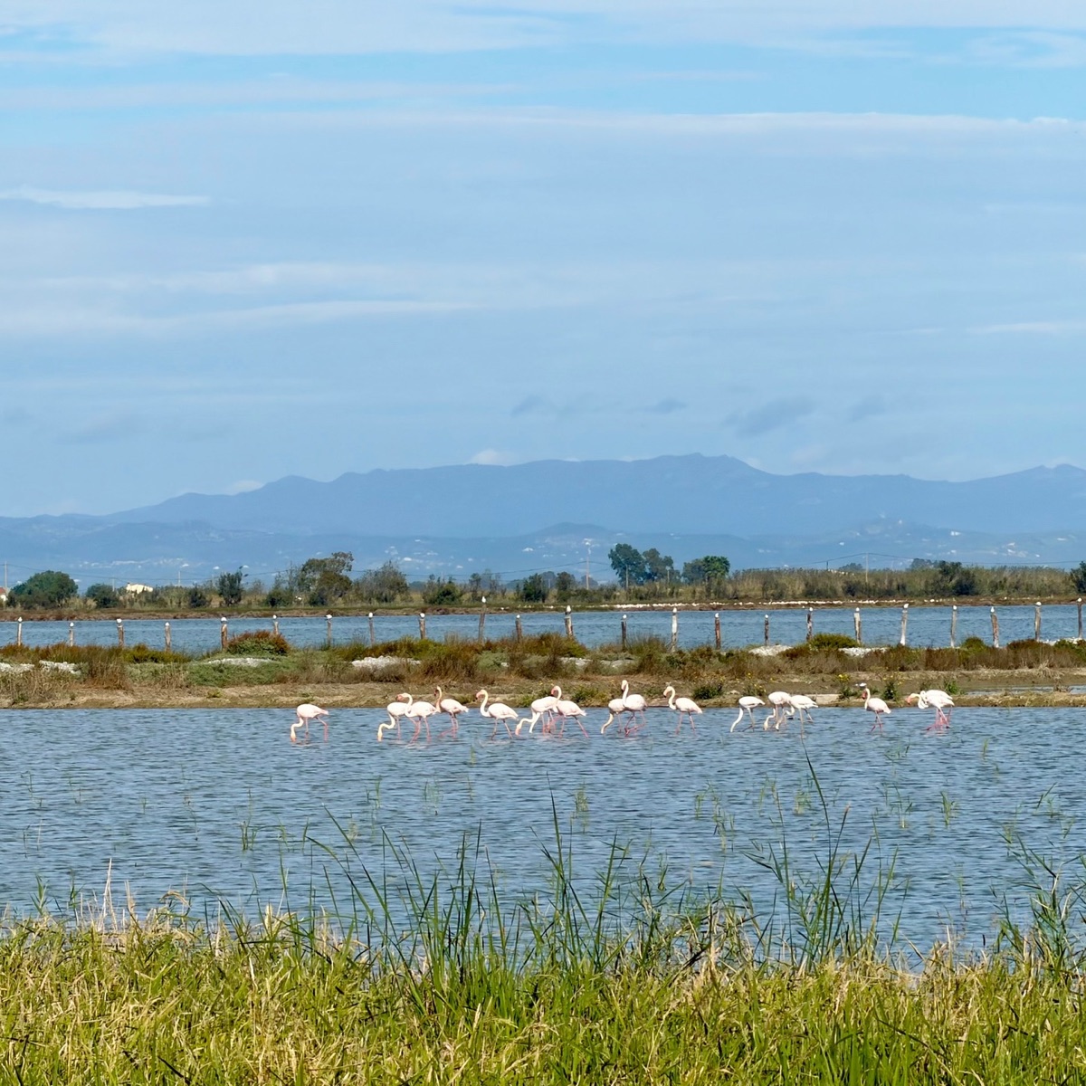 Stellplatz im Ebrodelta