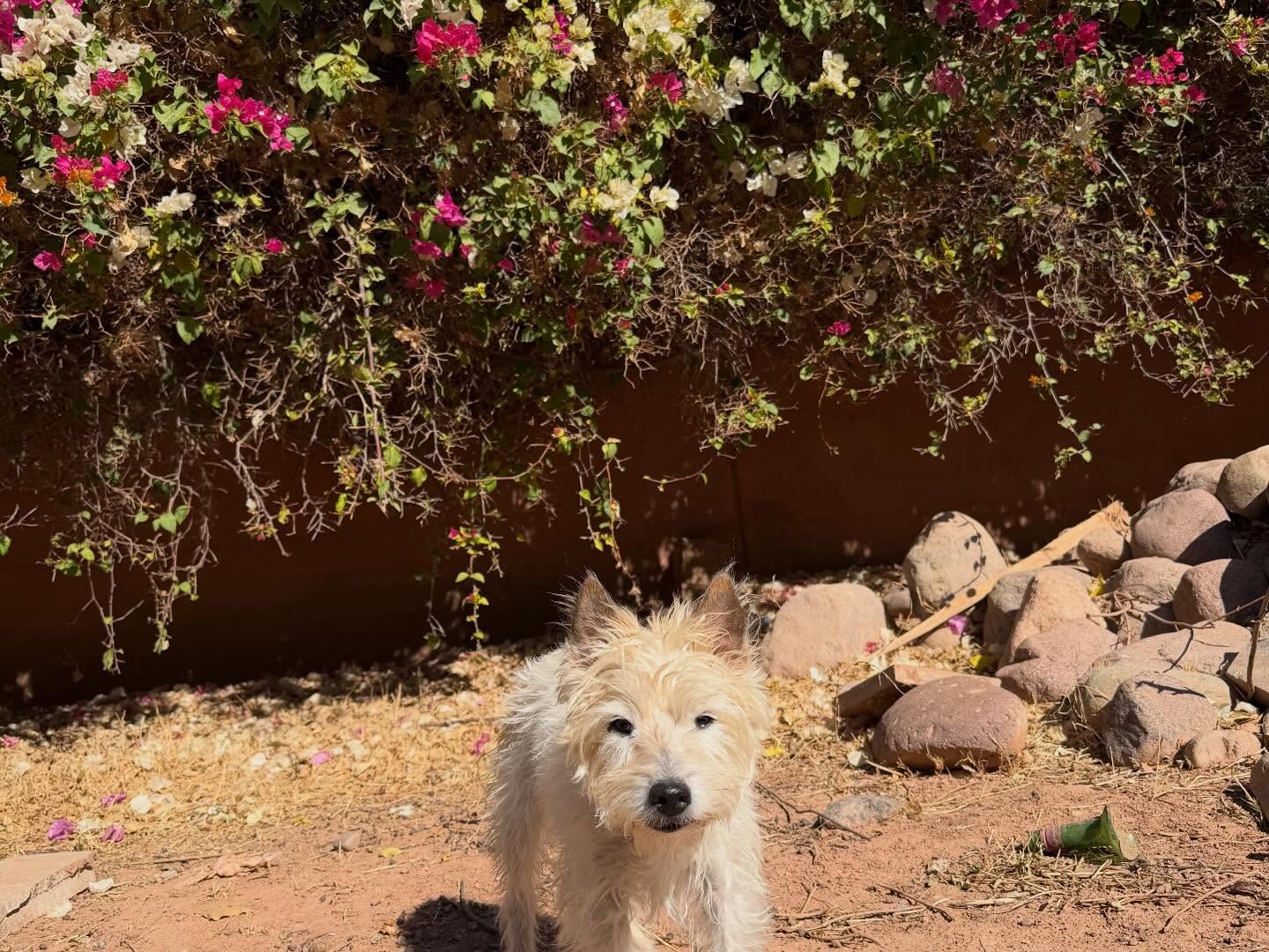 Unterwegs in Marrakesch