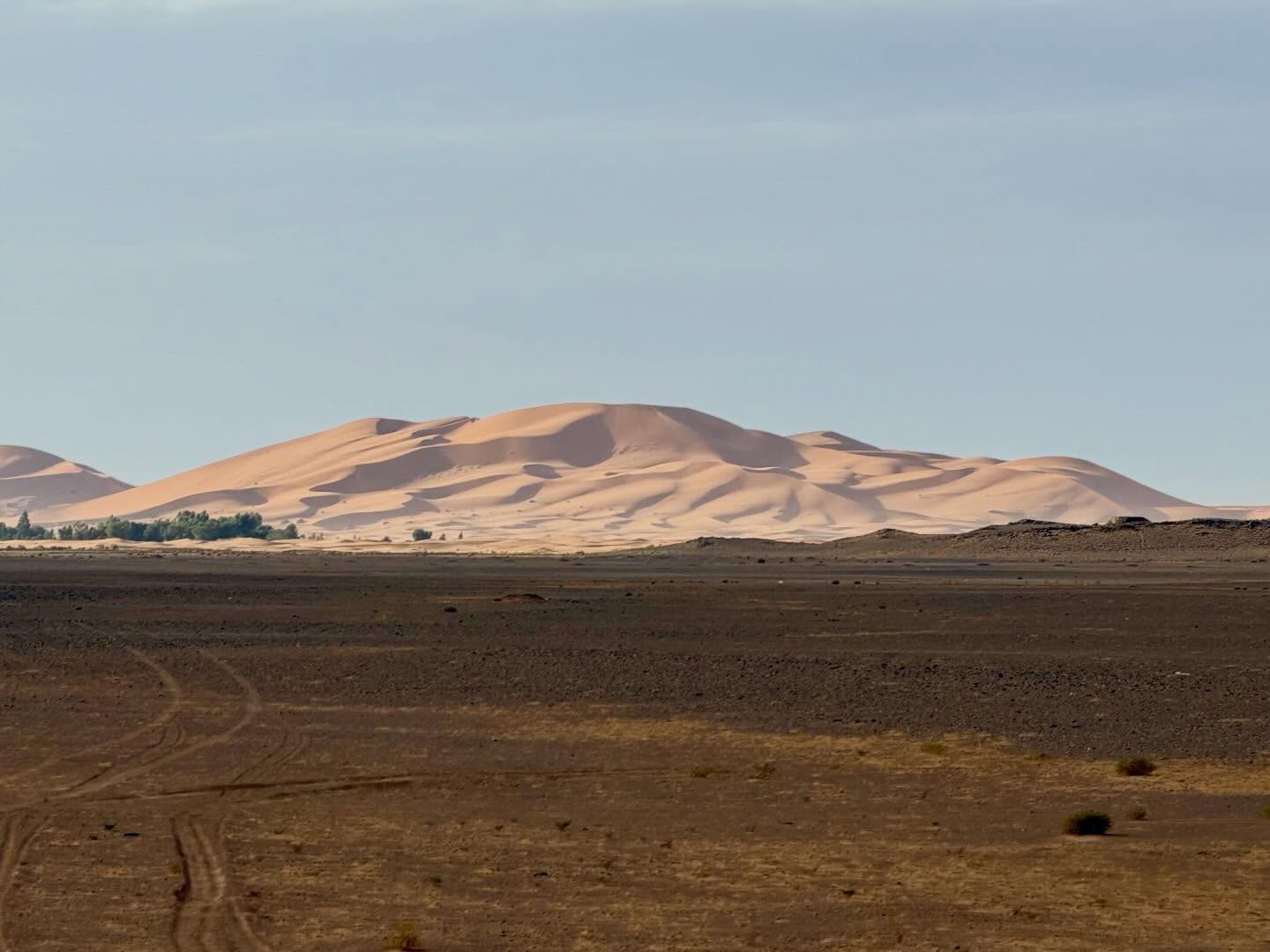 Dünen in der marokkanischen Wüste