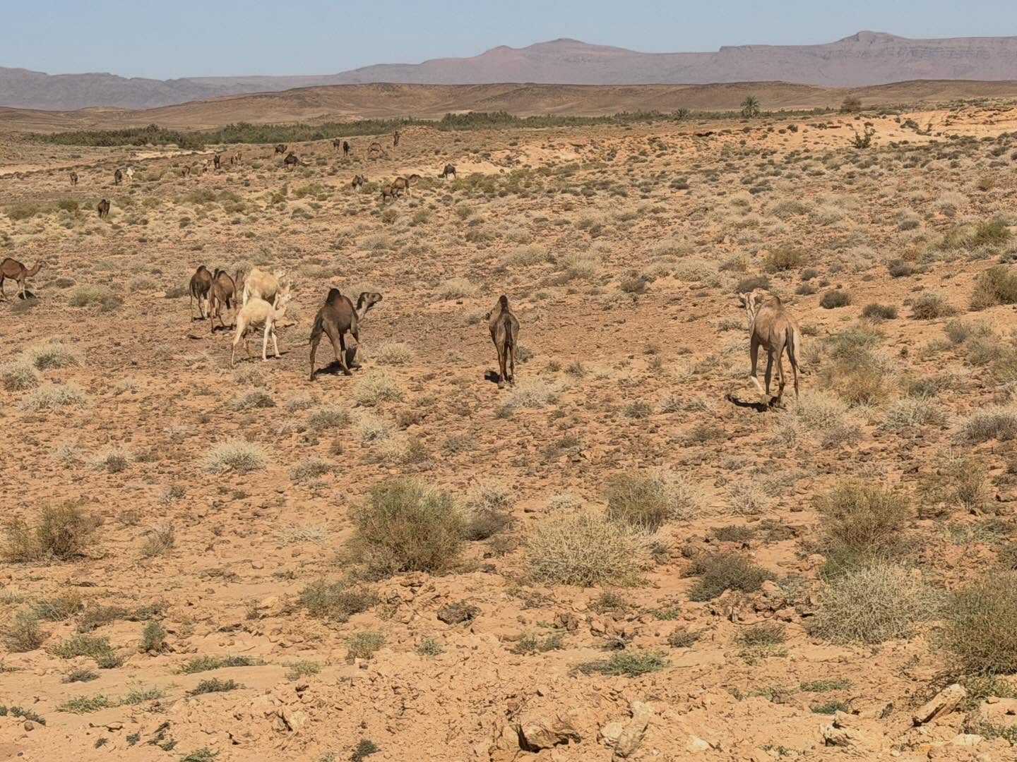 Blick auf eine verlassene Altstadt in Marokko