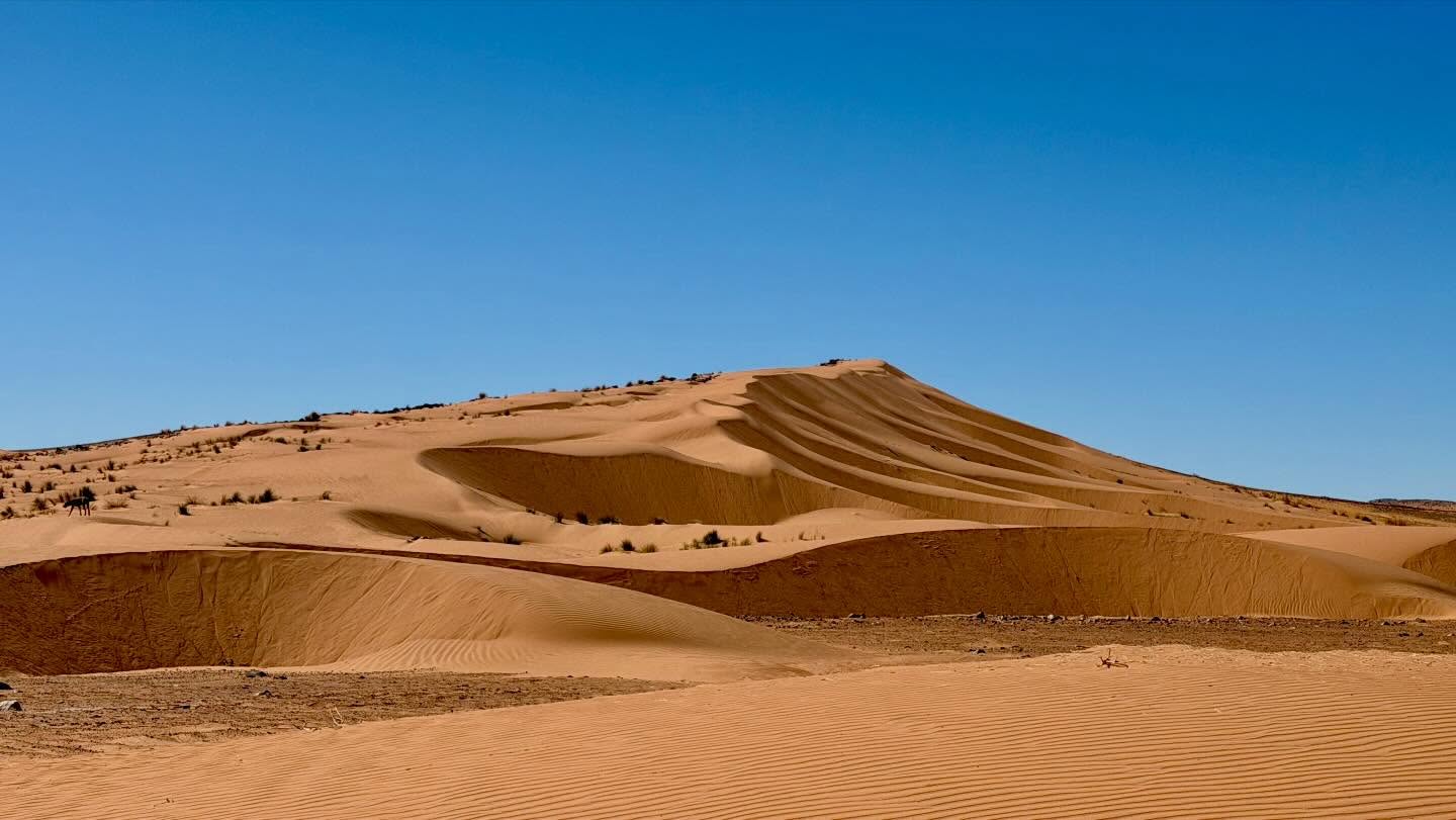 Dünen bei Sidi Ali