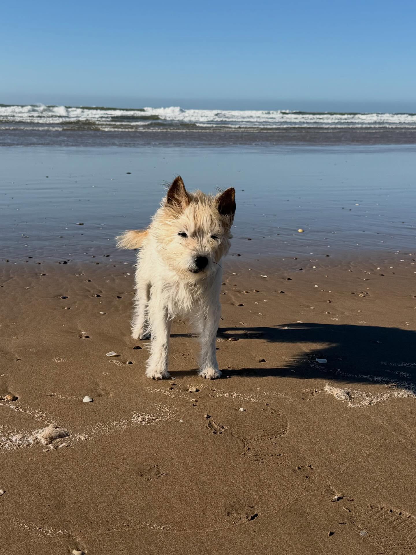 Strand an der marokkanischen Atlantikküste