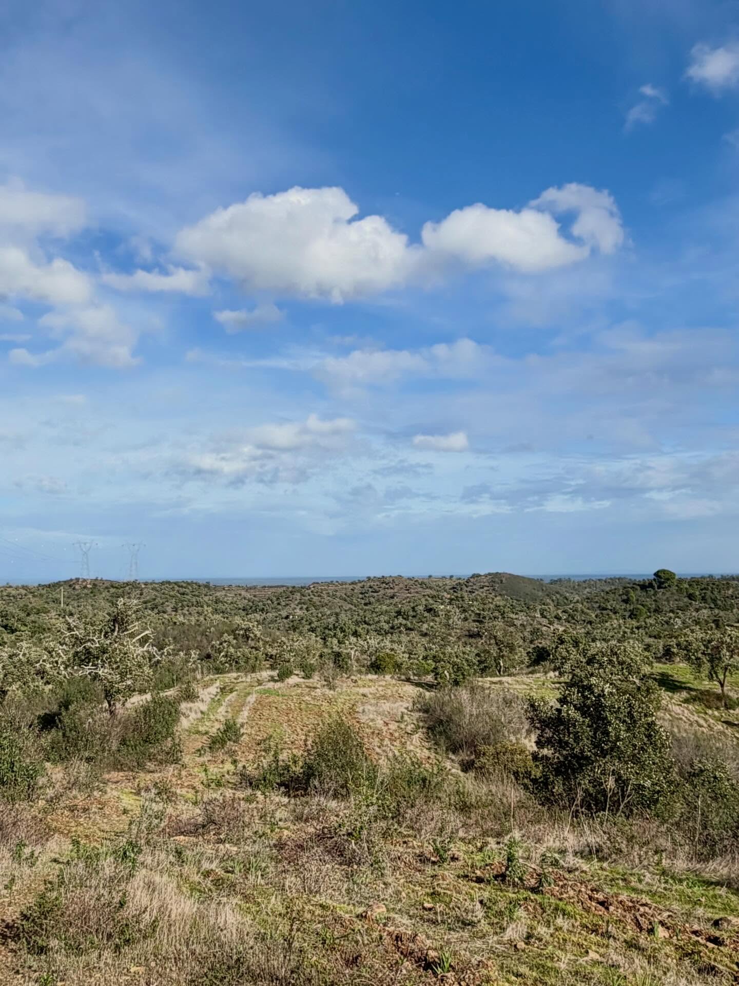 Küste im Alentejo