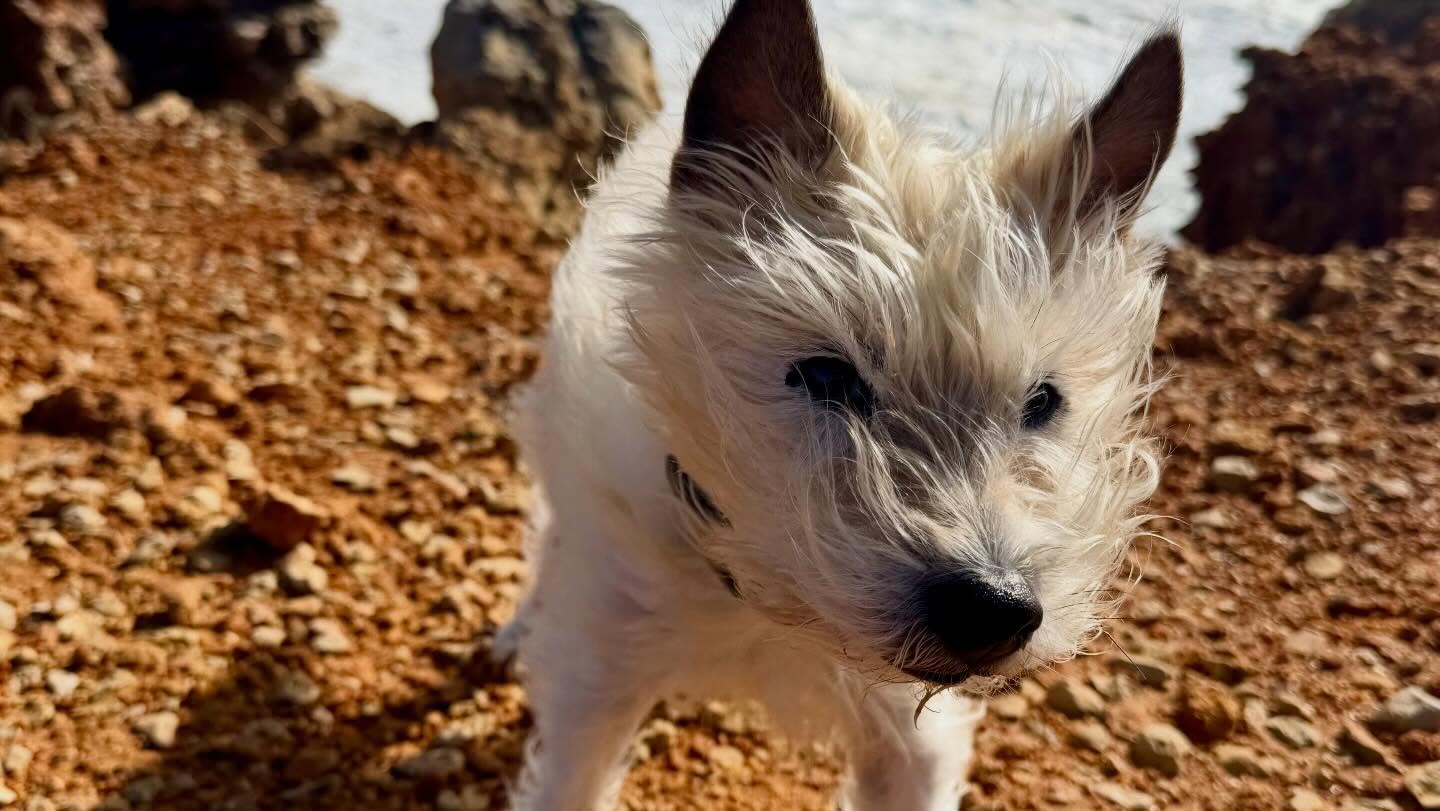 Küste bei Sagres