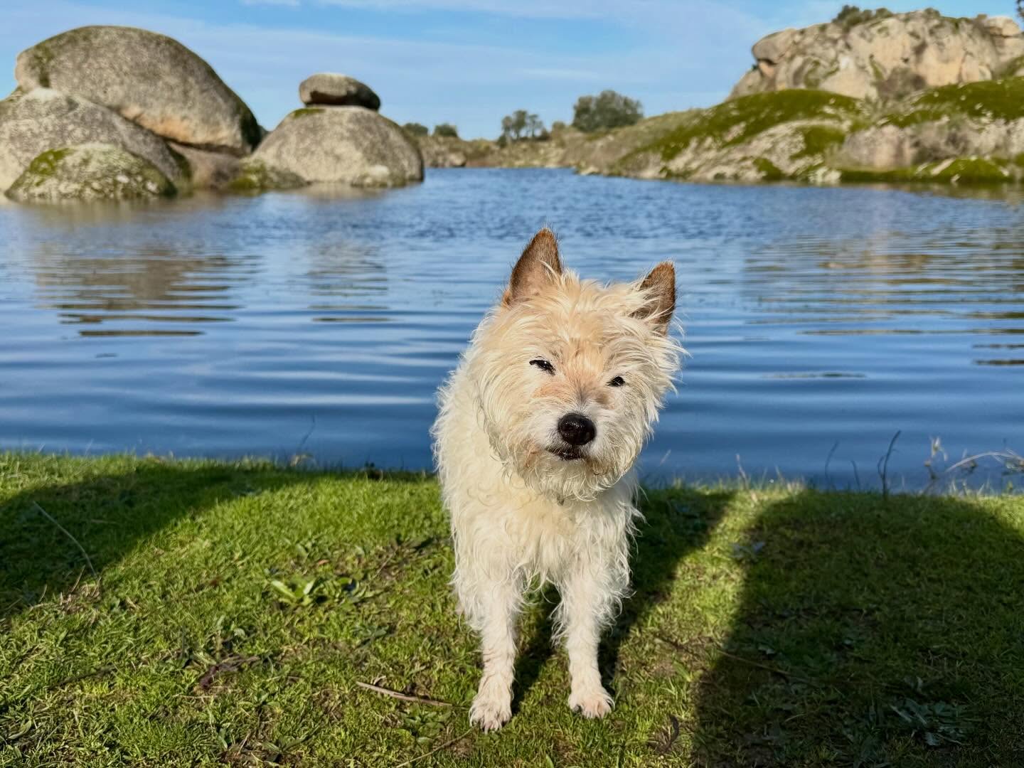 Felslandschaft bei Los Barruecos
