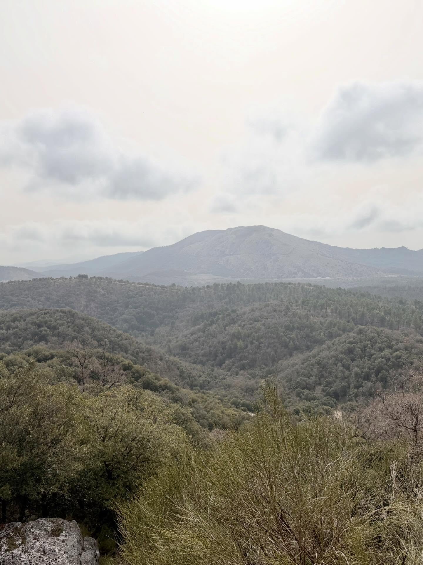 Stellplatz im Wald der Sierra de Huétor