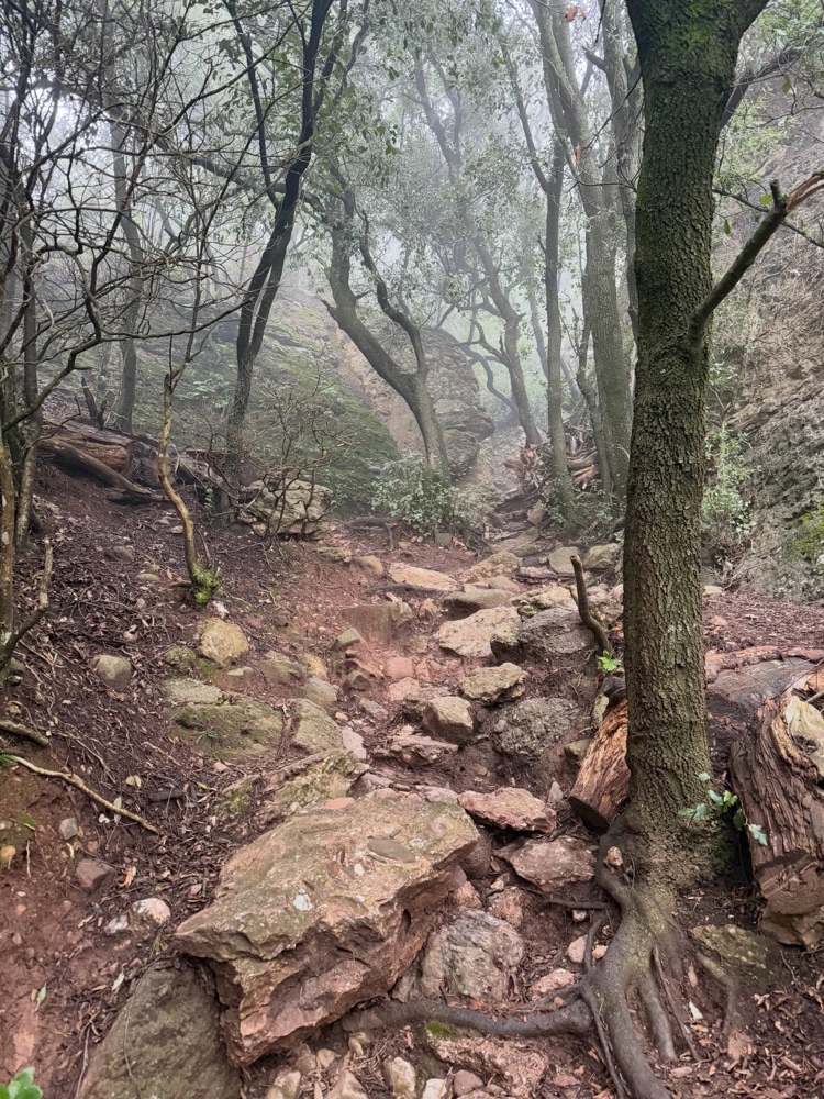 Wanderweg im Nebel bei Sant Llorenç