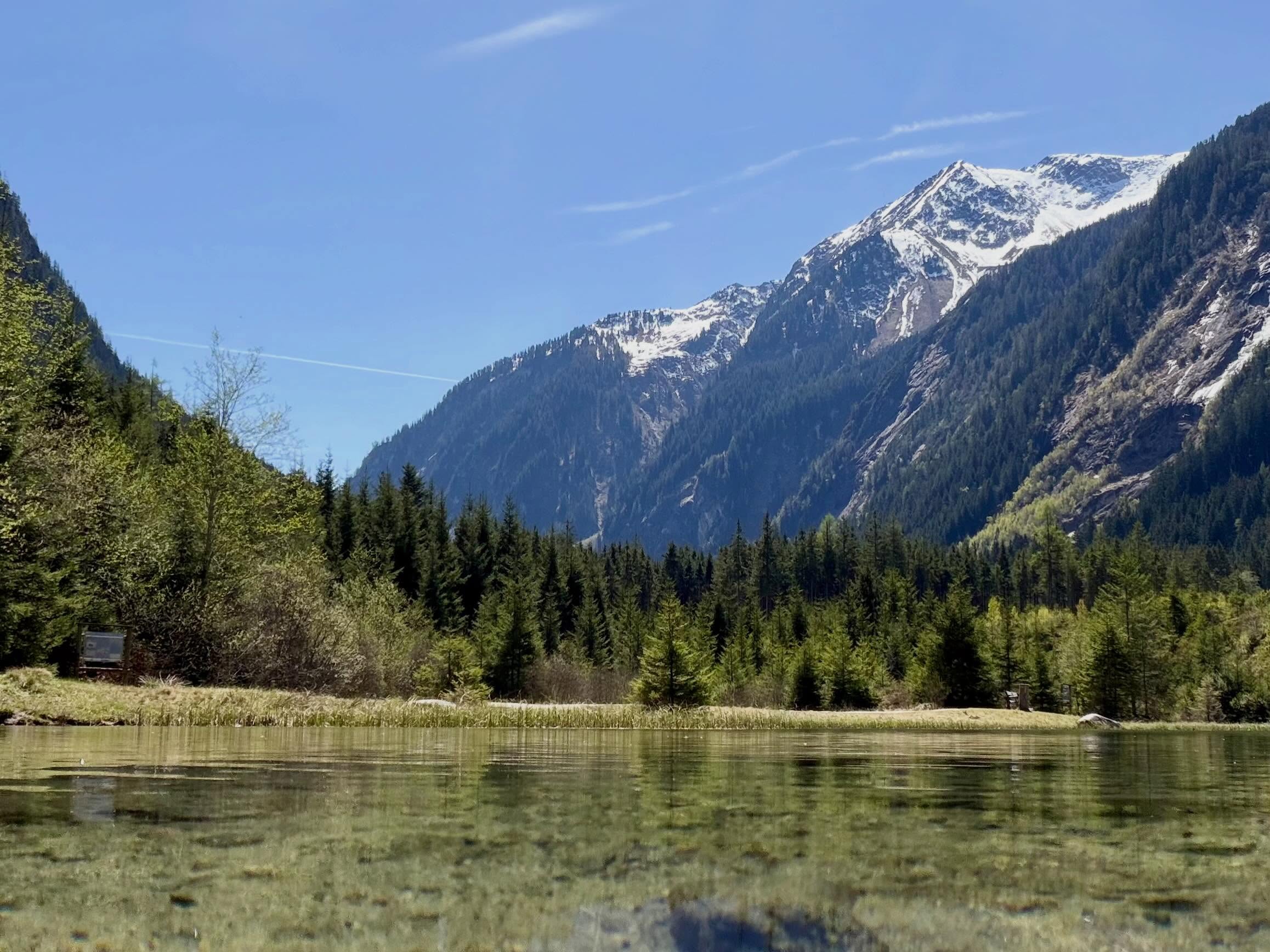 Schneefelder am Gipfel im Pinzgau