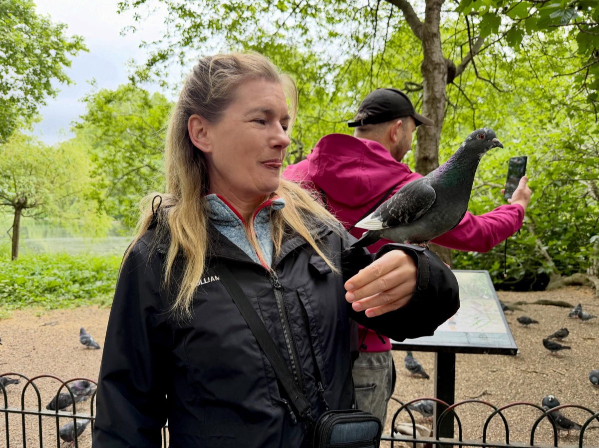 Blick über London