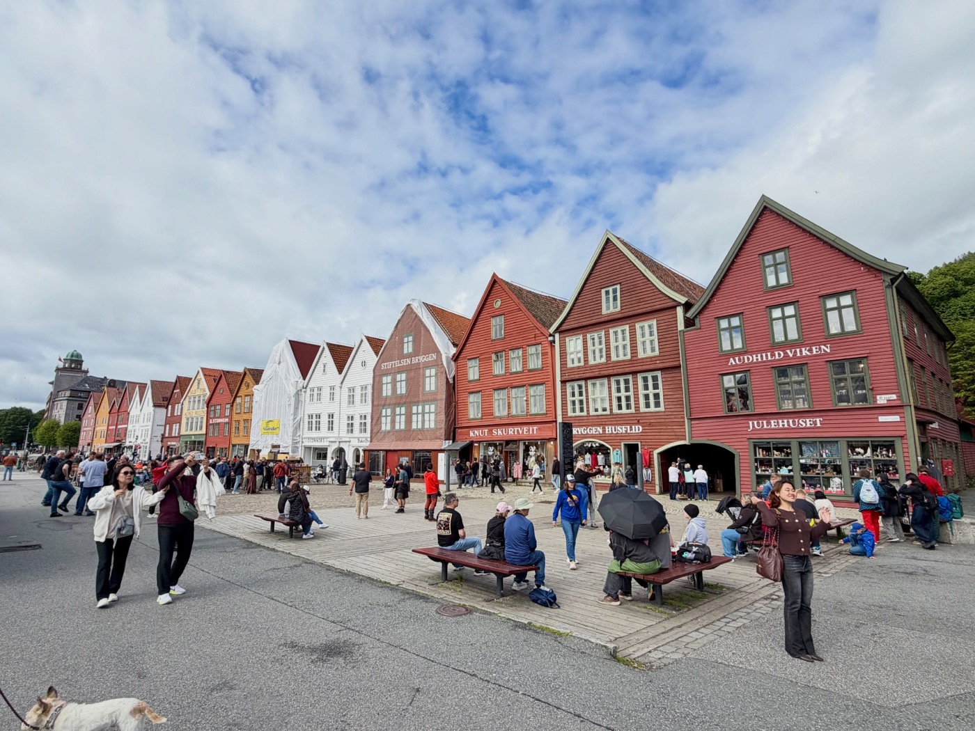 Hafen von Bergen