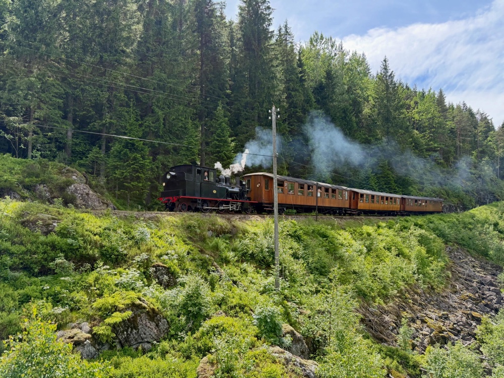 Küste bei Vennesla