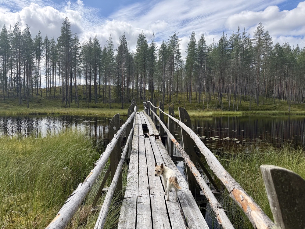 image from Finnland 🇫🇮 - ab jetzt Richtung Süden