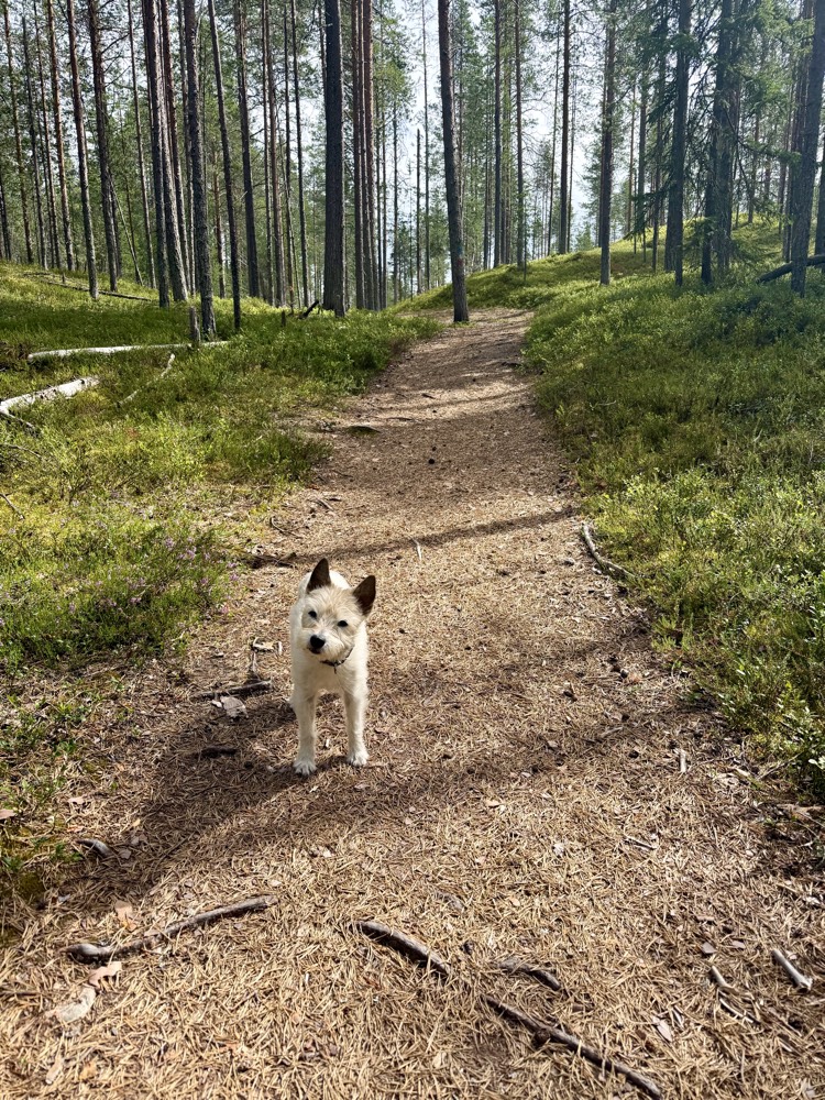 Lou steht mitten auf einem sandigen Waldweg zwischen hohen Kiefern und schaut in die Kamera