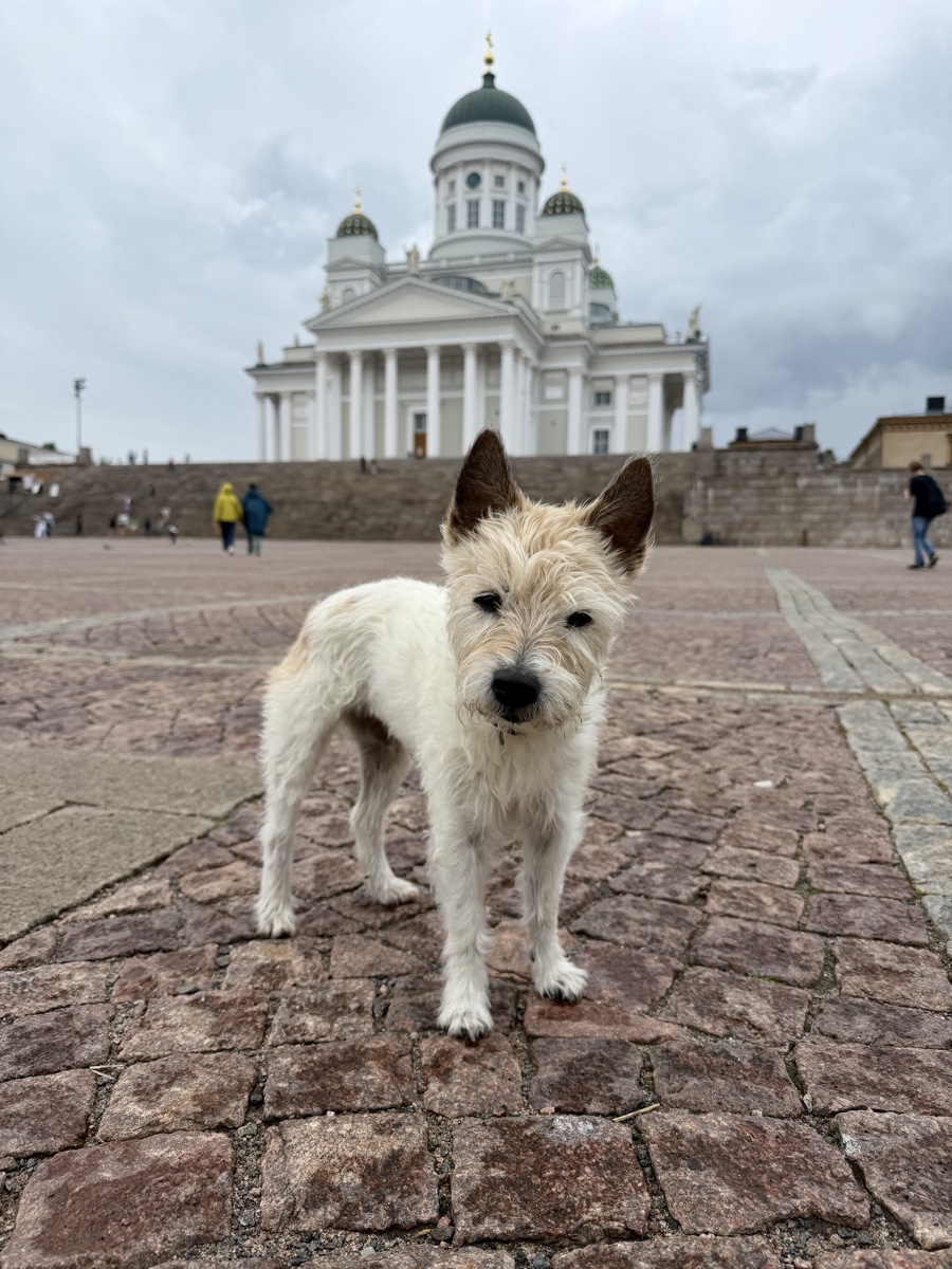 Lou steht auf dem Pflaster des Senatsplatzes, im Hintergrund der weiße Dom von Helsinki