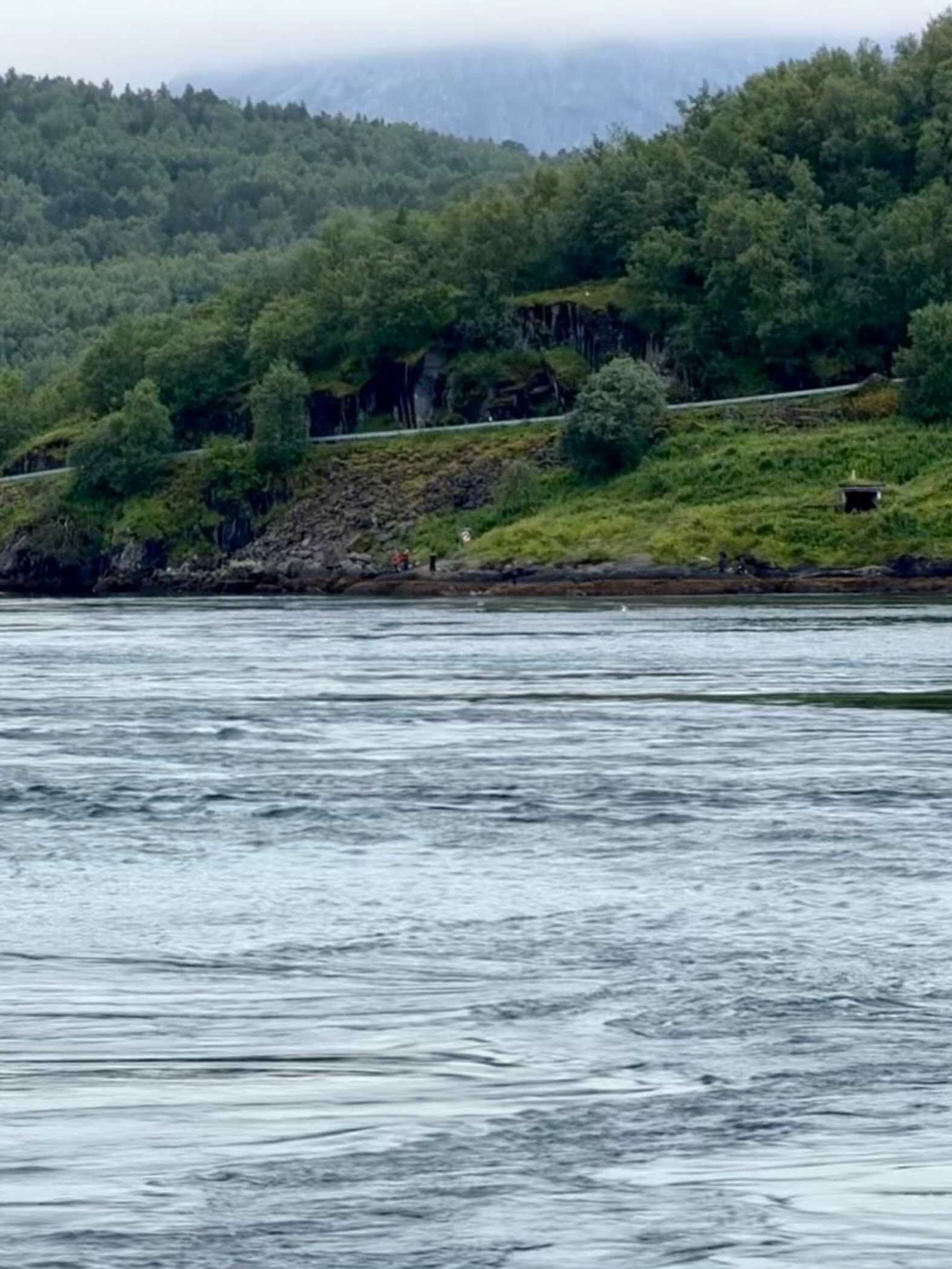 Strömungen im Saltstraumen