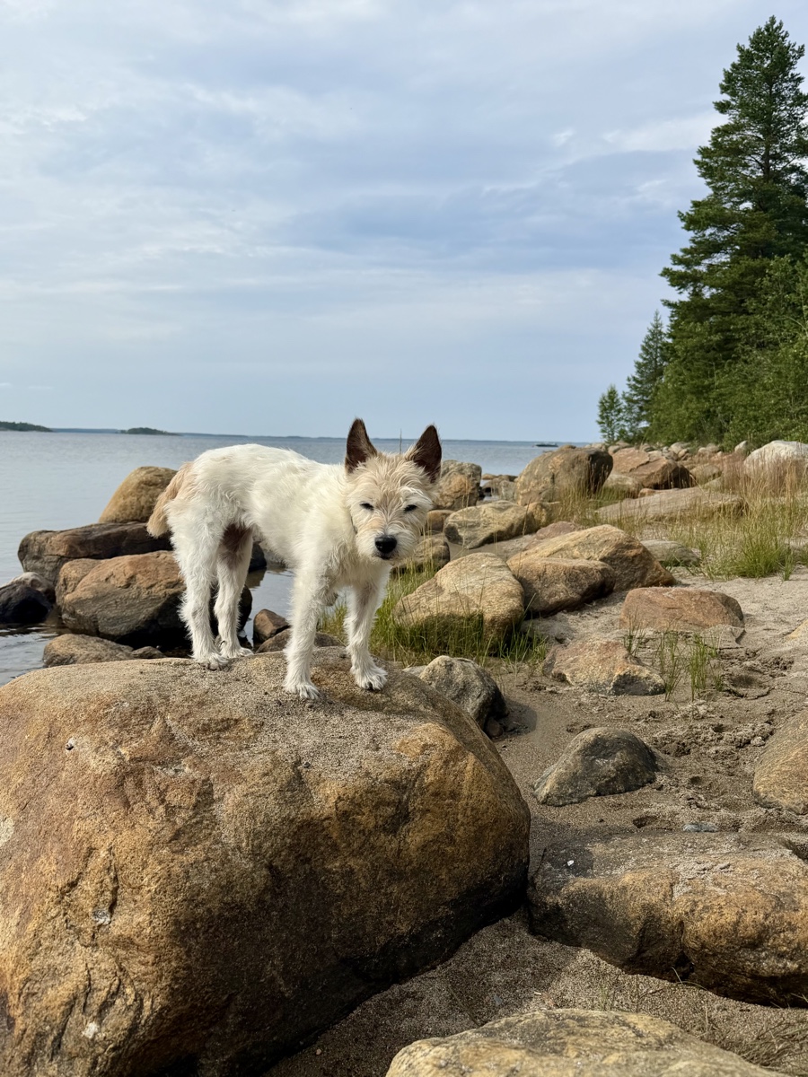 Lou steht auf einem großen Findling an der Felsküste, dahinter das Meer