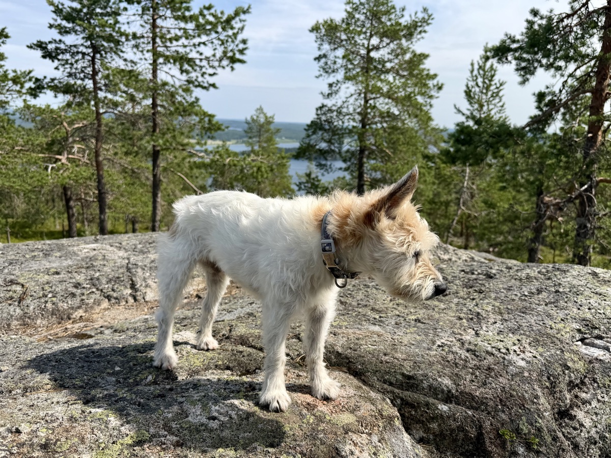 Lou steht auf einem Felsen mit Blick über den See