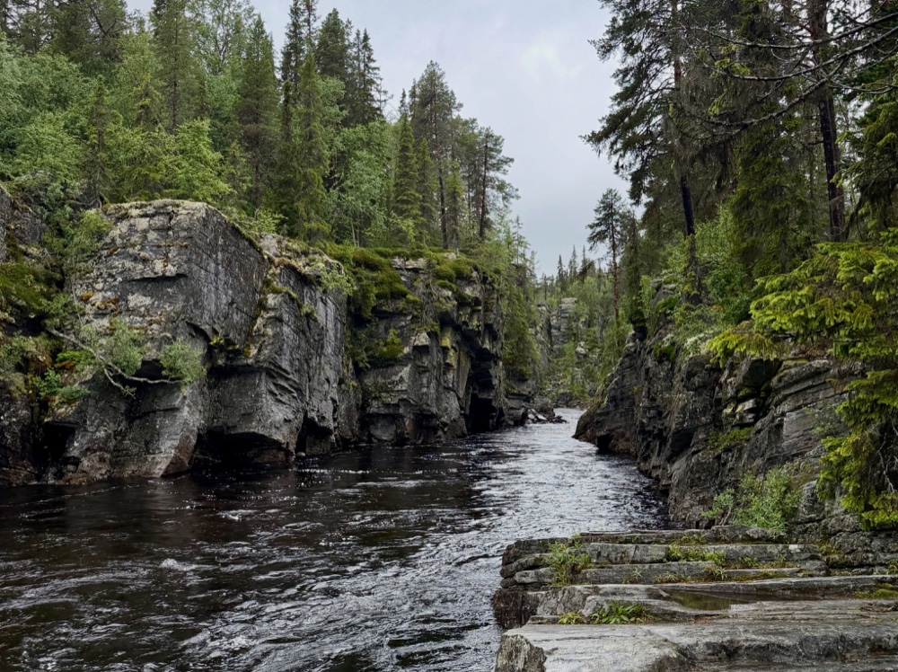 Canyon am Hällingsåfallet
