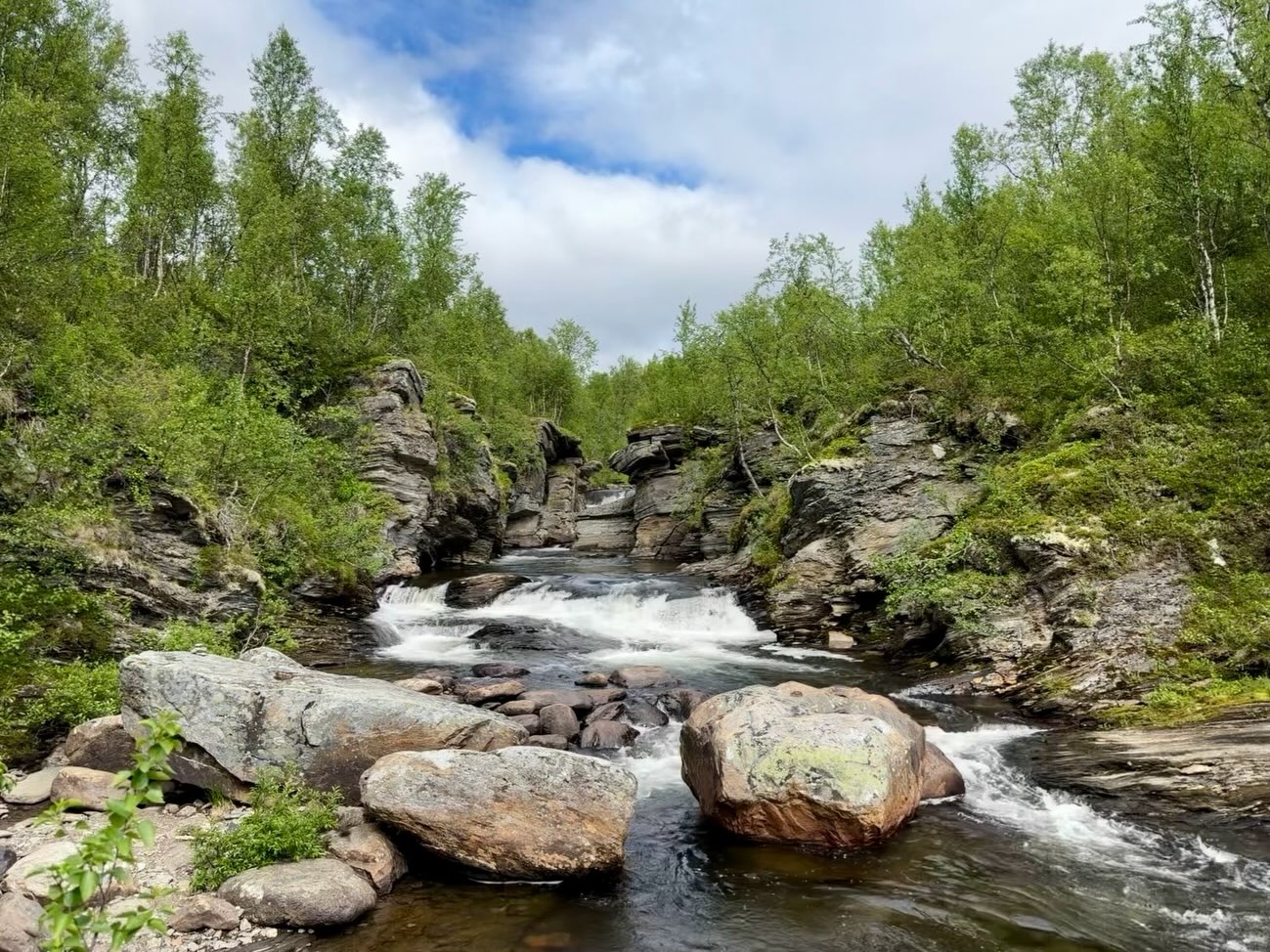 Hochplateau am Vildmarksvägen