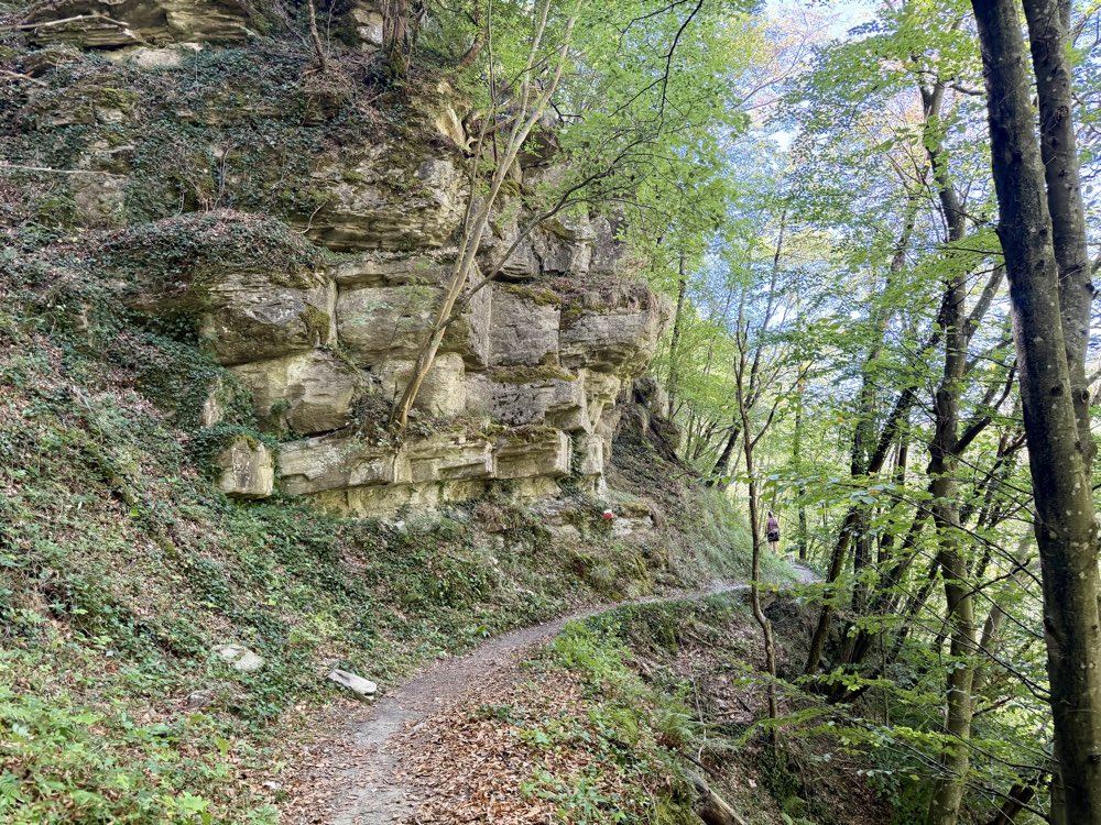 Schmaler Pfad im Wald entlang einer geschichteten Felswand