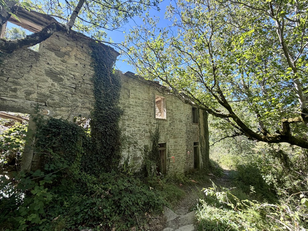 Verfallenes Steinhaus mit leeren Fensterhöhlen, umgeben von Büschen und Bäumen