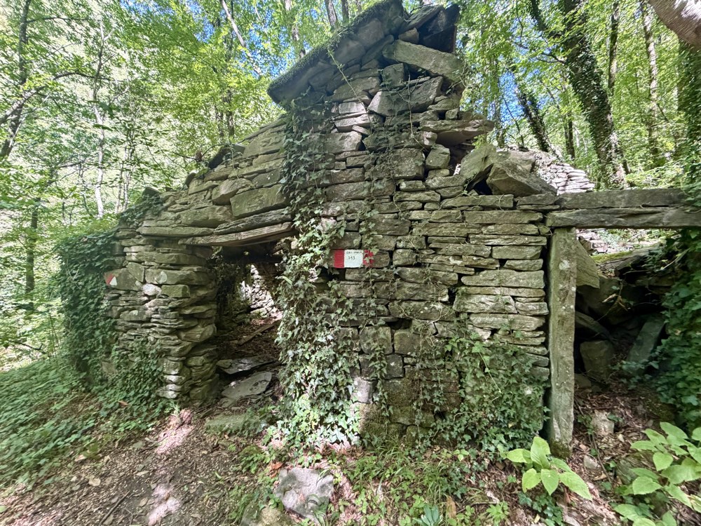 Efeubewachsene Steinhütte im Wald mit einer rot-weißen Wegmarkierung