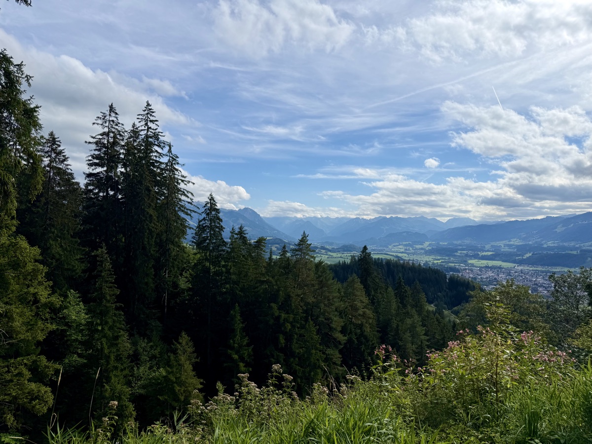 Blick zwischen Fichten und Wiesenblumen auf eine Stadt im Tal und Berge im Hintergrund