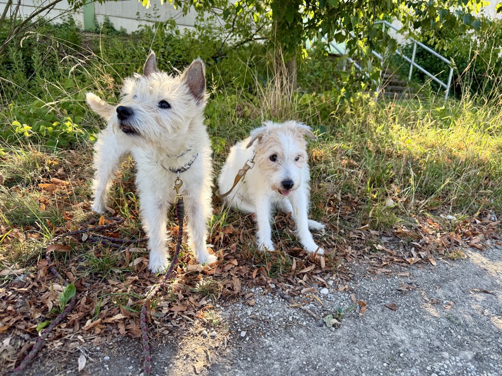 Lou und ihre Schwester sitzen nebeneinander im Gras