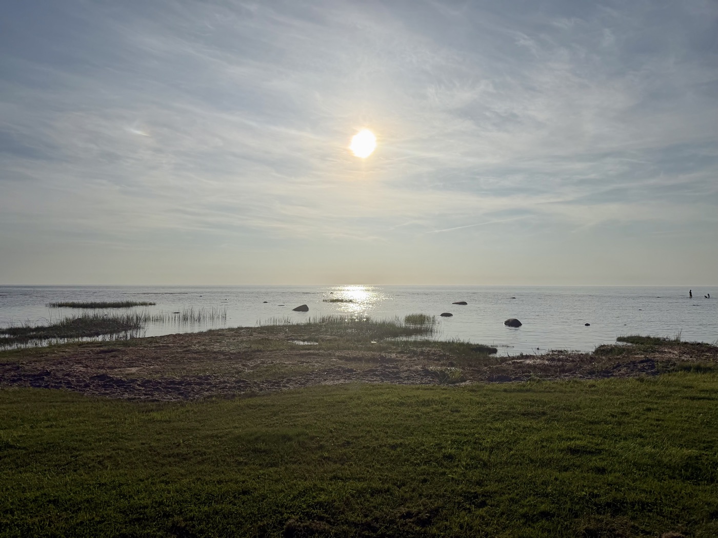 Flaches Wasser der Ostsee bei tiefstehender Sonne, im Vordergrund Wiese und Schilf
