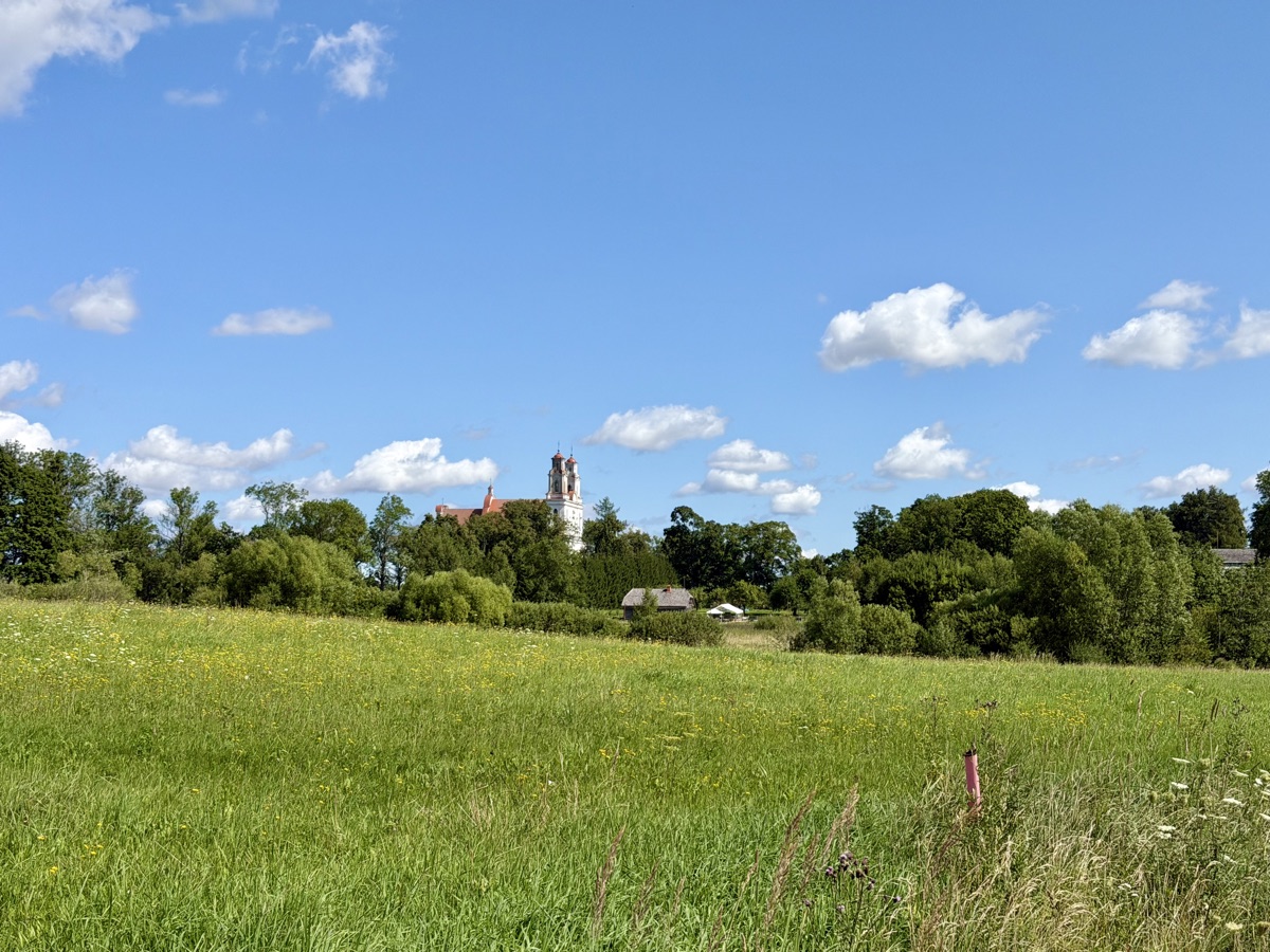Blühende Wiese, dahinter die Türme der Kirche zwischen Bäumen