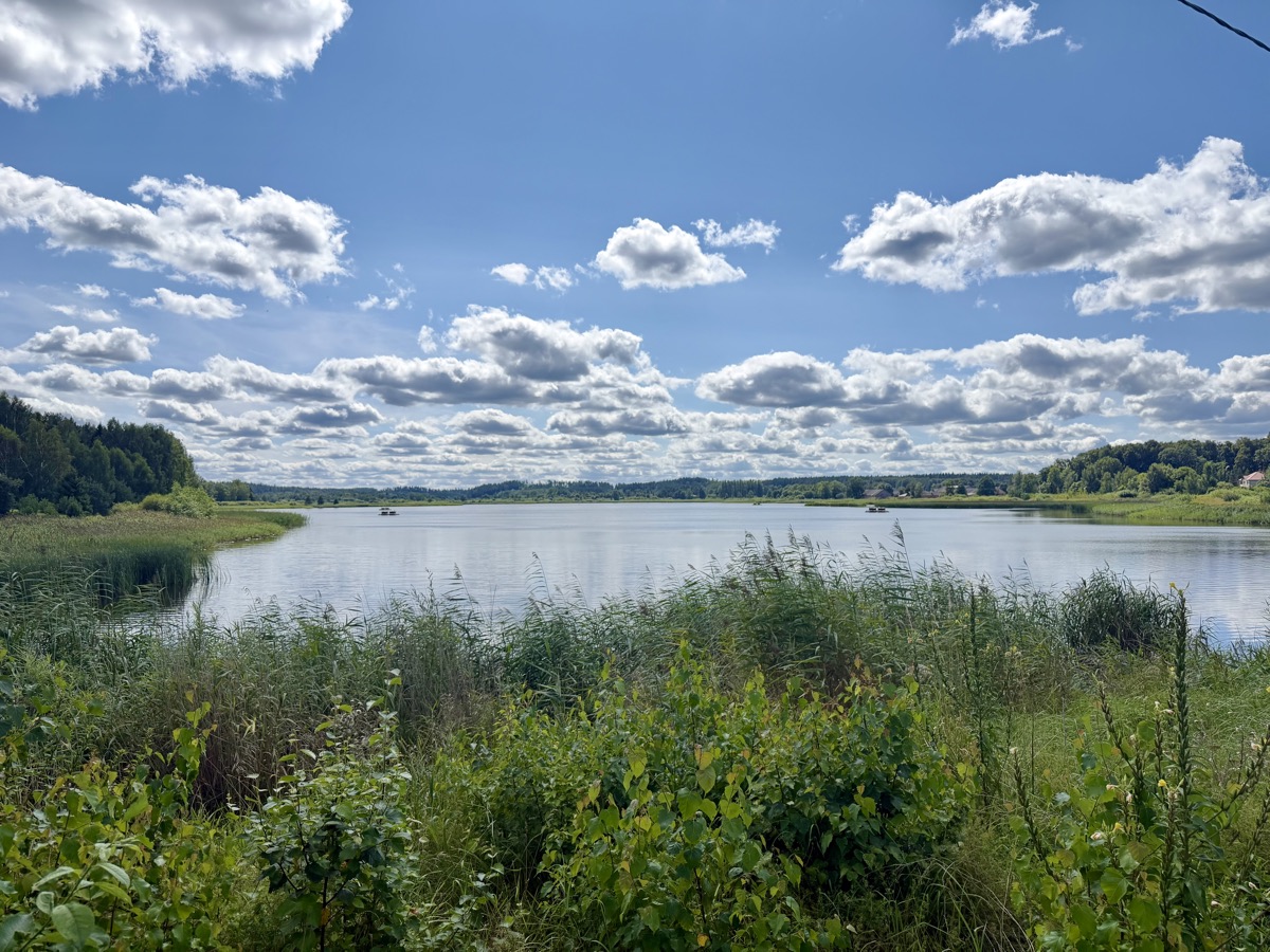 Ruhiger See mit Schilf am Ufer unter blauem Himmel mit Wolken