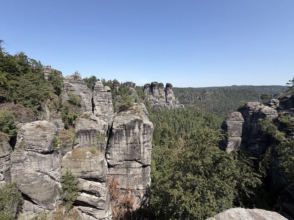 Schroffe Sandsteinfelsen ragen aus dem grünen Wald, im Hintergrund weite Landschaft