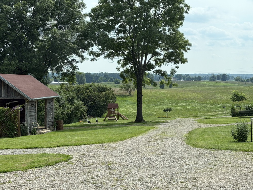 Kiesweg und Wiese eines Stellplatzes mit Spielturm, dahinter weite Felder