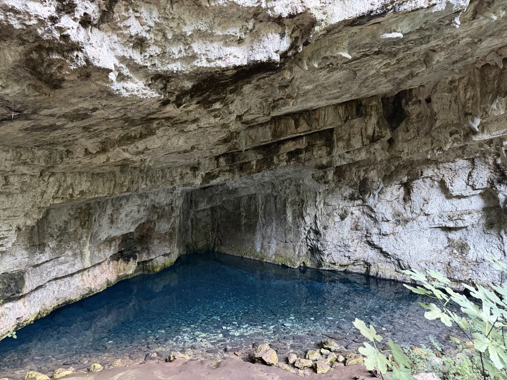 Höhle mit einem tiefblauen Wasserbecken, überhängender Fels und Grünzeug im Vordergrund