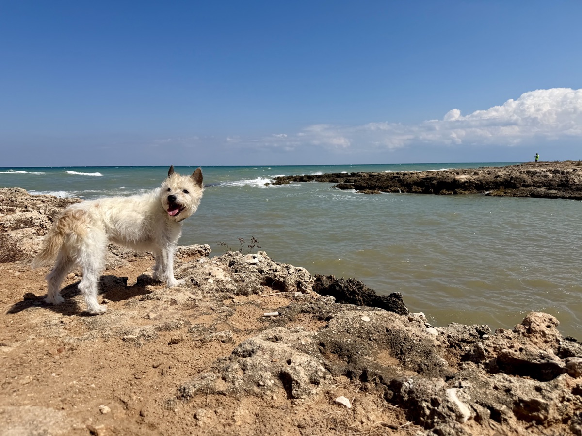 Lou steht auf einem Felsen am Meer, dahinter eine felsige Landzunge