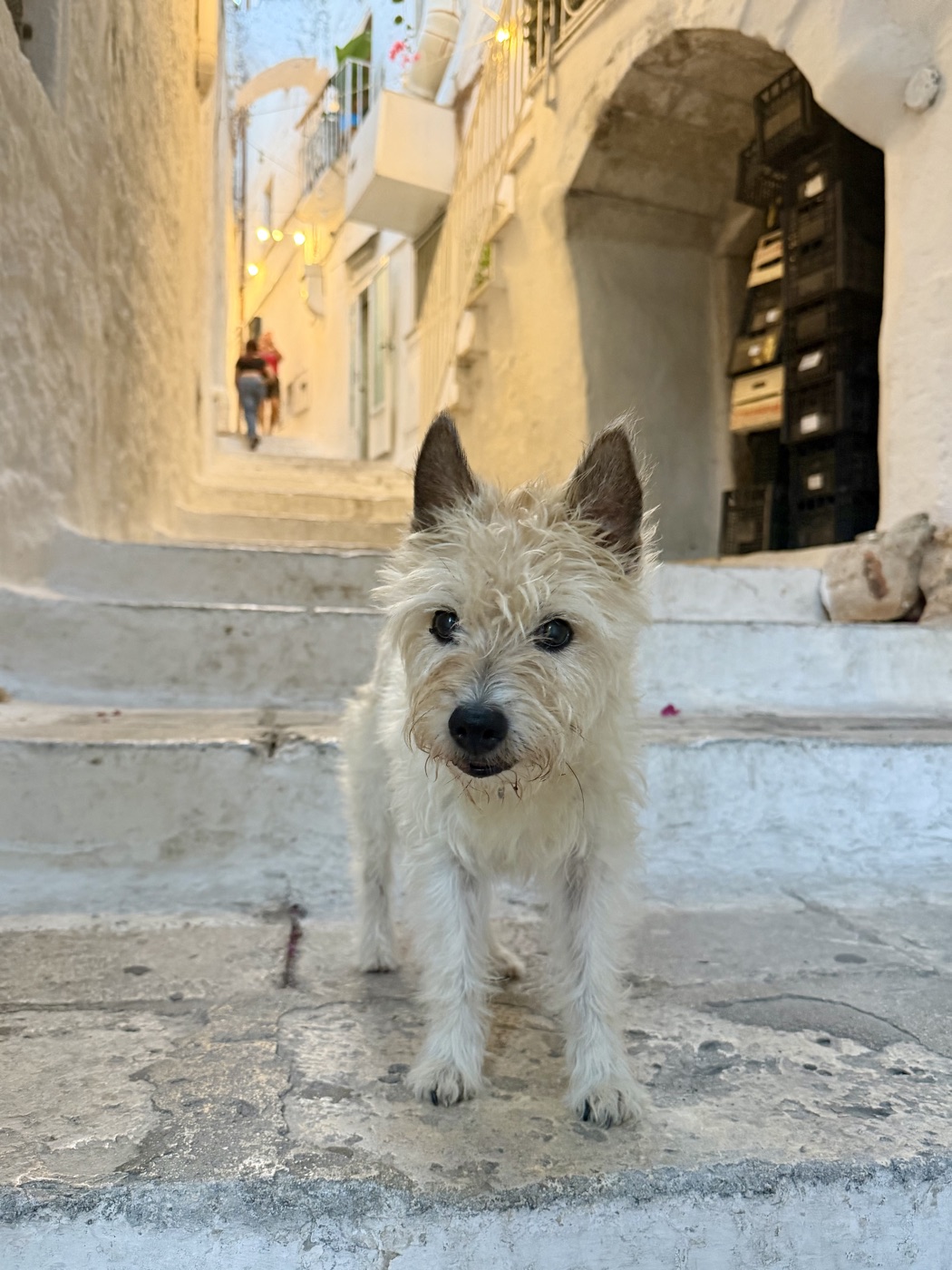 Lou sitzt auf den Stufen einer weiß gekalkten Gasse in Ostuni