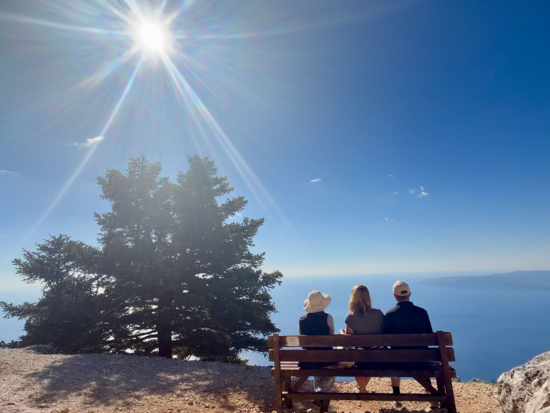 Drei Personen sitzen auf einer Bank unter einem Baum und schauen im Gegenlicht aufs Meer