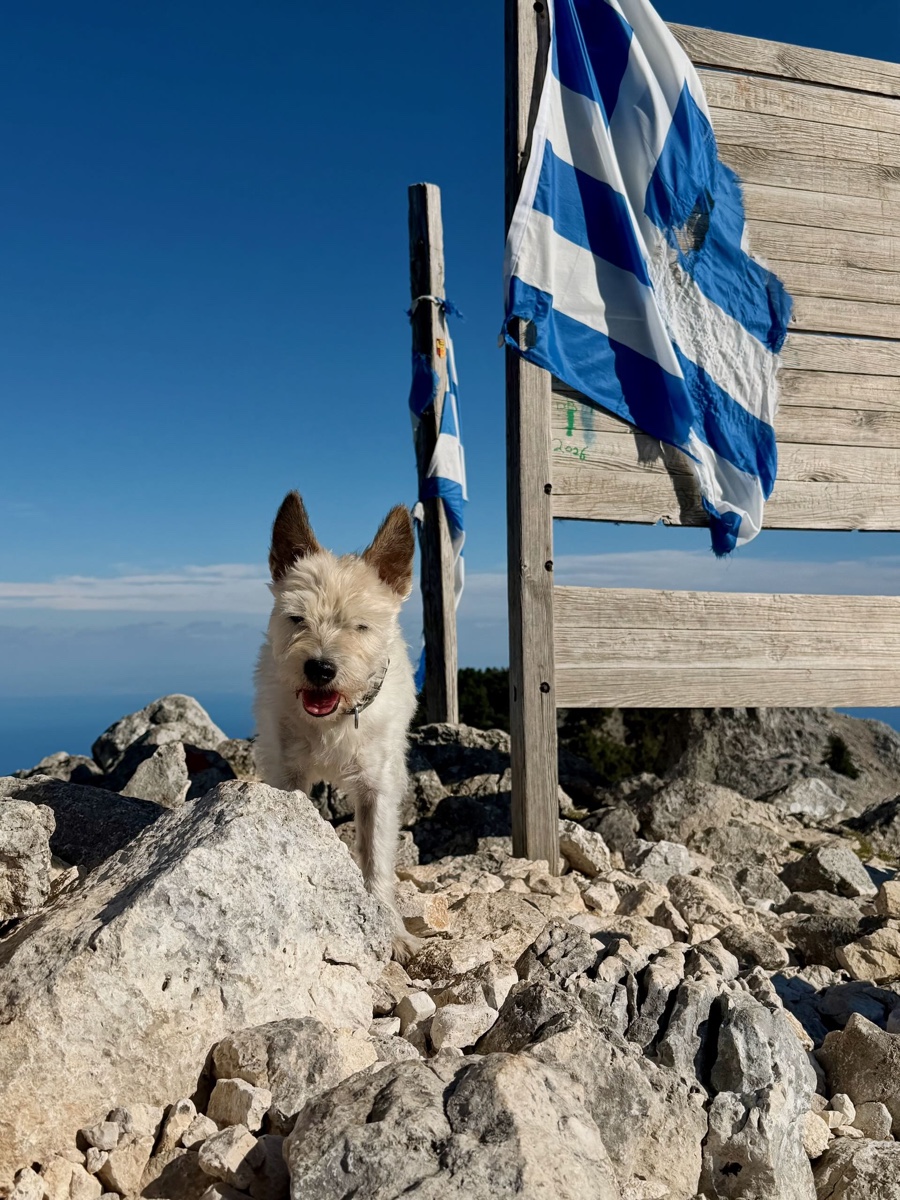 Lou steht auf dem Gipfel zwischen Felsen vor einer griechischen Flagge