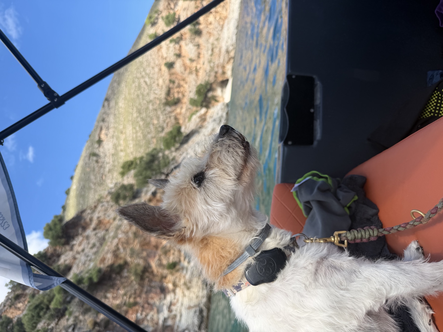 Lou sitzt auf der Bank des Bootes und schaut zur felsigen Küste