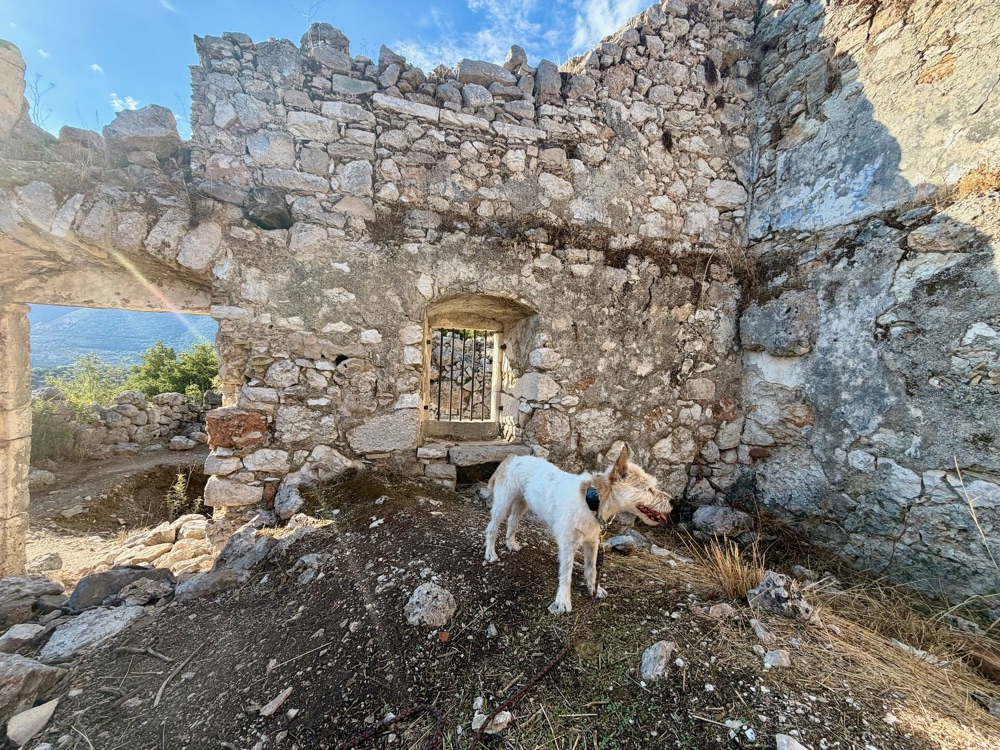 Lou steht vor einer Ruine mit einem Fenster in der Steinmauer