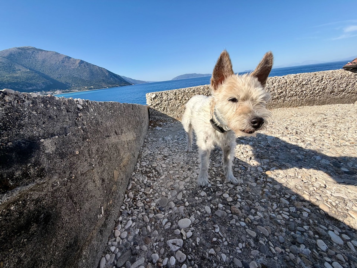 Lou steht auf Kies zwischen zwei Betonmauern, im Hintergrund das Meer